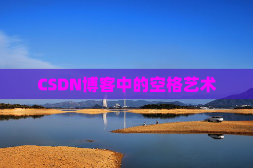 CSDN博客中的空格艺术